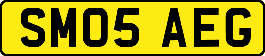 SM05AEG