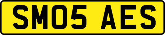 SM05AES
