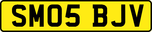 SM05BJV