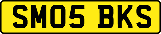 SM05BKS