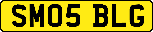 SM05BLG