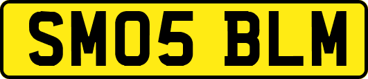 SM05BLM