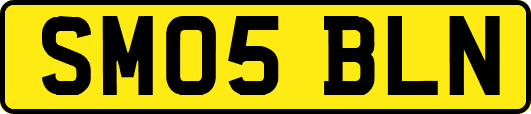 SM05BLN