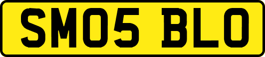 SM05BLO