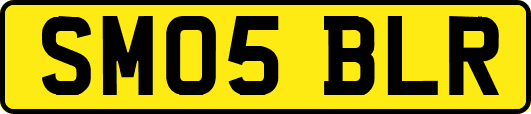 SM05BLR