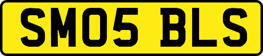 SM05BLS