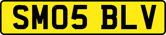 SM05BLV
