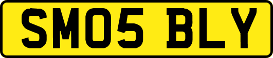 SM05BLY