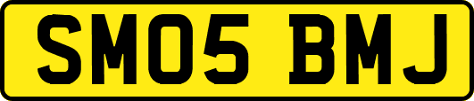 SM05BMJ