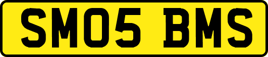 SM05BMS