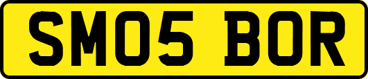 SM05BOR