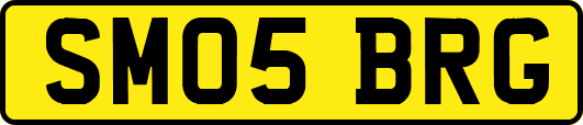 SM05BRG