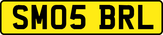 SM05BRL