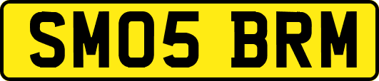 SM05BRM