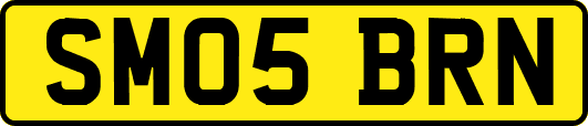 SM05BRN
