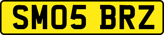 SM05BRZ