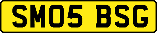 SM05BSG