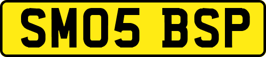 SM05BSP