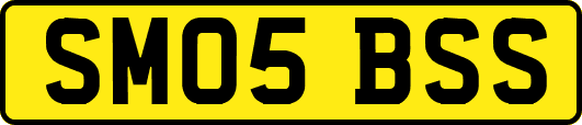 SM05BSS