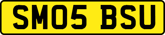 SM05BSU