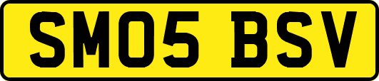 SM05BSV