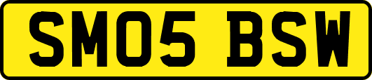 SM05BSW