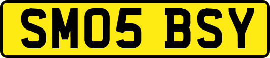 SM05BSY
