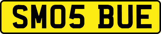 SM05BUE