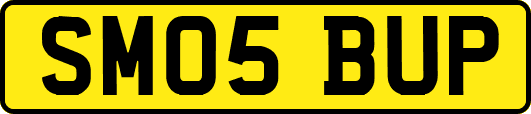 SM05BUP