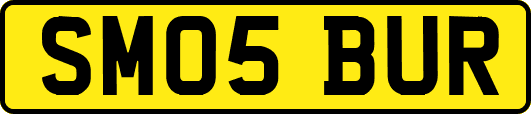 SM05BUR