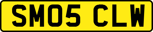SM05CLW