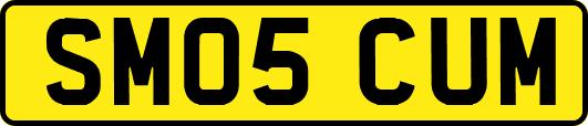 SM05CUM