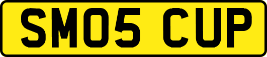 SM05CUP