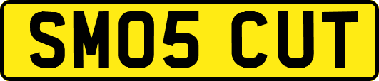 SM05CUT