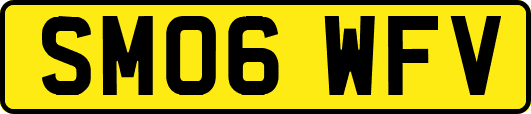SM06WFV