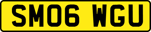 SM06WGU