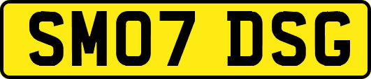 SM07DSG