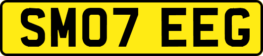 SM07EEG