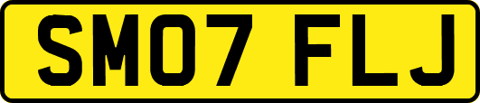 SM07FLJ