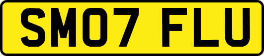 SM07FLU