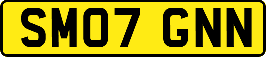 SM07GNN