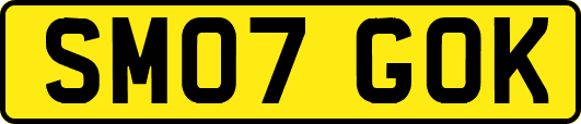 SM07GOK