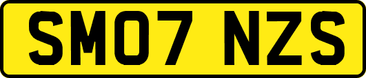 SM07NZS