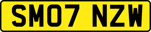 SM07NZW