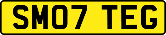SM07TEG