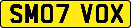 SM07VOX