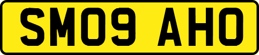 SM09AHO