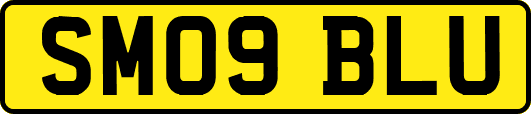 SM09BLU