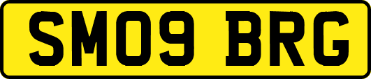 SM09BRG