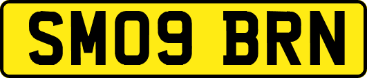 SM09BRN